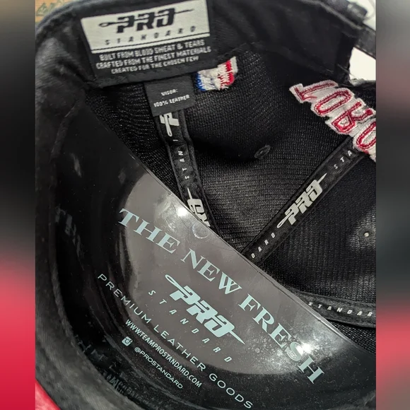 Toronto Raptors strap back - Picture 5 of 5